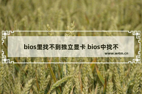 bios里找不到独立显卡 bios中找不到独立显卡设置