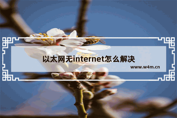 以太网无internet怎么解决