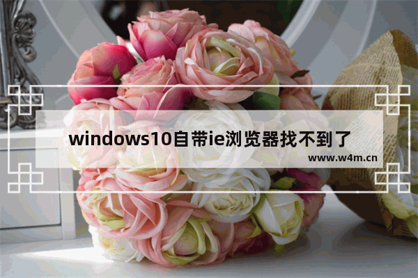 windows10自带ie浏览器找不到了怎么办 windows10自带ie浏览器找不到了解决办法