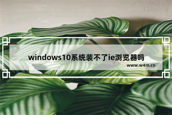 windows10系统装不了ie浏览器吗 windows10系统安装ie浏览器方法