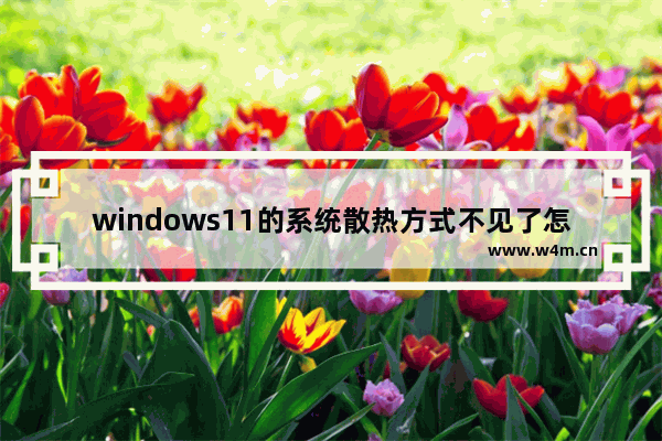 windows11的系统散热方式不见了怎么办 windows11的系统散热方式不见了解决方法