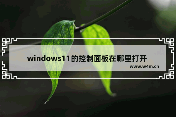 windows11的控制面板在哪里打开 Windows11怎么打开控制面板