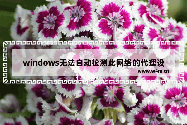 windows无法自动检测此网络的代理设置怎么办