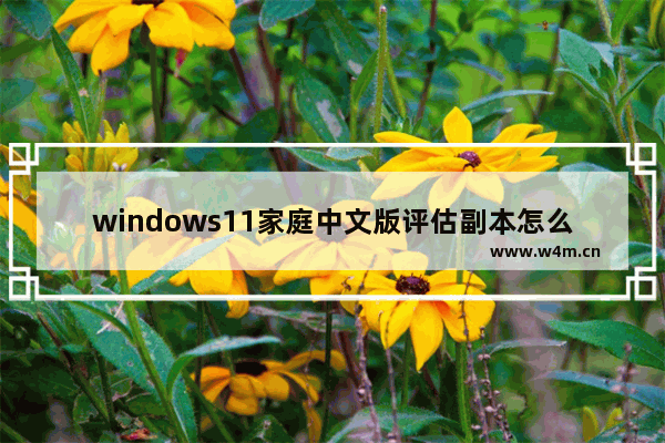 windows11家庭中文版评估副本怎么样 windows11家庭中文版评估副本什么意思啊