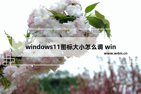 windows11图标大小怎么调 windows11怎么改图标大小