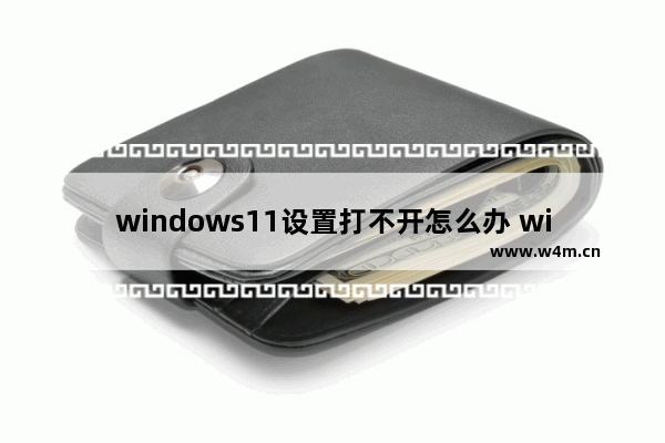 windows11设置打不开怎么办 windows11系统设置打不开怎么办