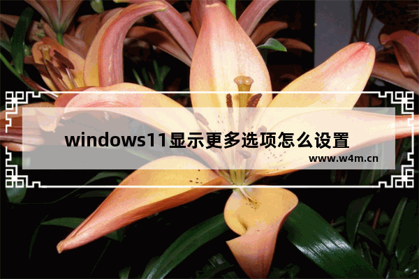 windows11显示更多选项怎么设置 windows11显示更多选项设置方法