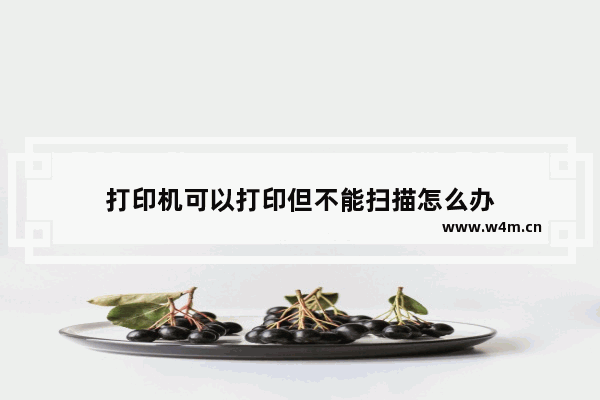 打印机可以打印但不能扫描怎么办