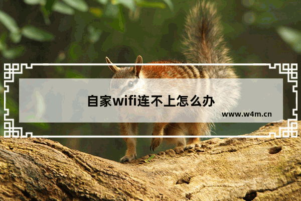 自家wifi连不上怎么办