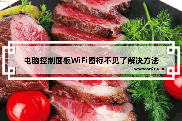 电脑控制面板WiFi图标不见了解决方法