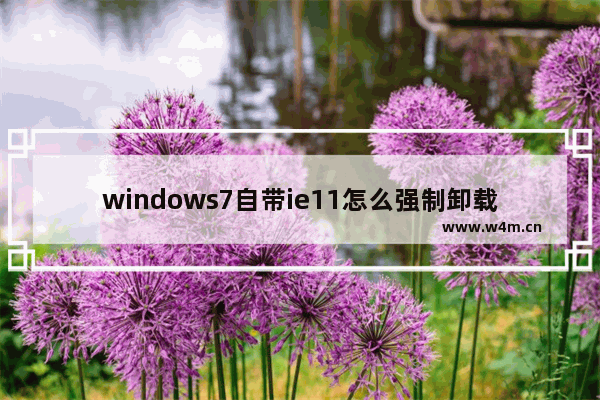 windows7自带ie11怎么强制卸载 windows7自带ie11强制卸载教程