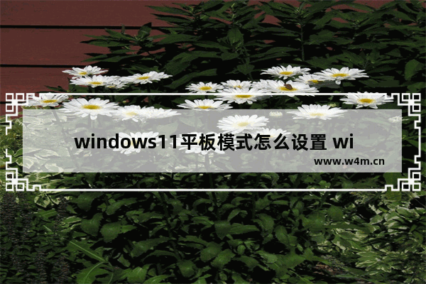 windows11平板模式怎么设置 windows11平板模式开启方法