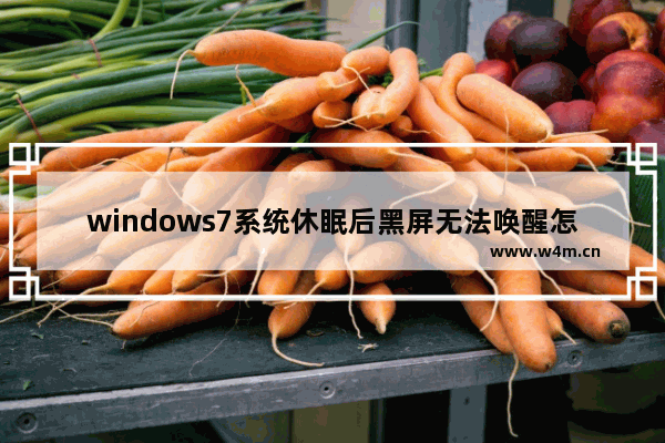 windows7系统休眠后黑屏无法唤醒怎么办 windows7系统休眠后黑屏无法唤醒解决办法