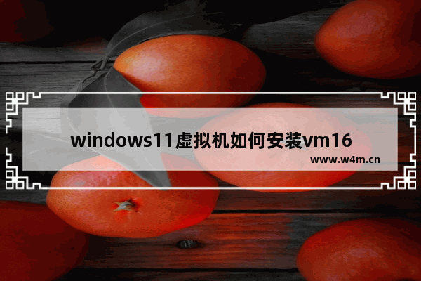 windows11虚拟机如何安装vm16player