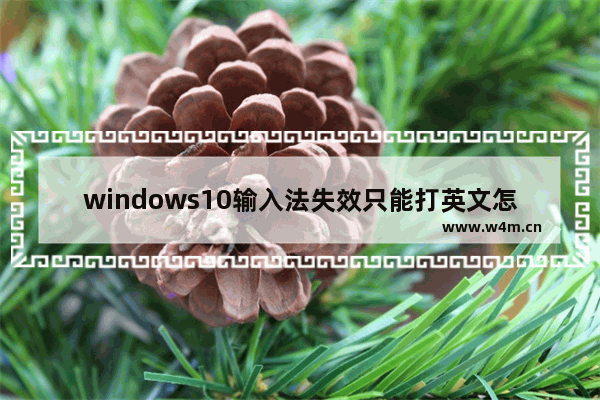 windows10输入法失效只能打英文怎么办 windows10微软输入法失效只能打英文解决方法