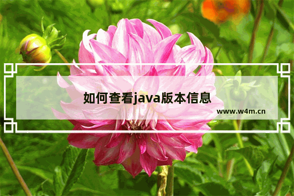 如何查看java版本信息