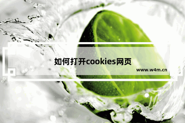 如何打开cookies网页