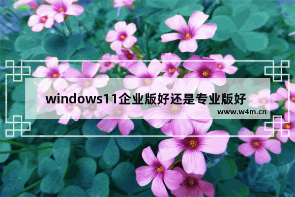 windows11企业版好还是专业版好 windows11企业版和专业版区别