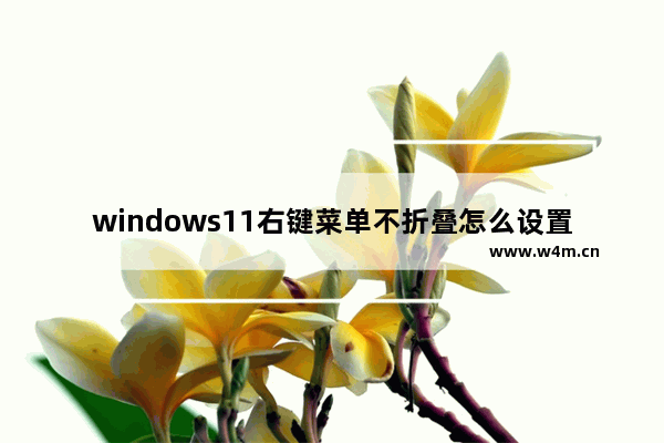 windows11右键菜单不折叠怎么设置 windows11右键菜单不折叠设置方法