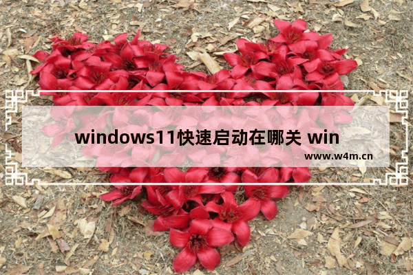 windows11快速启动在哪关 windows11快速启动怎么关闭