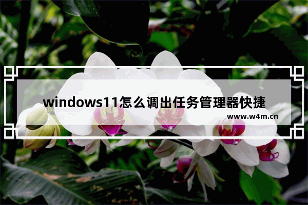 windows11怎么调出任务管理器快捷键 windows11如何调出任务管理器