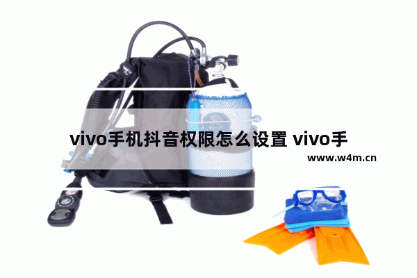 vivo手机抖音权限怎么设置 vivo手机抖音在设置中打开