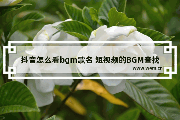 抖音怎么看bgm歌名 短视频的BGM查找