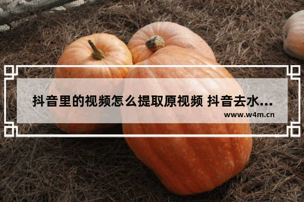 抖音里的视频怎么提取原视频 抖音去水印视频解析在线提取