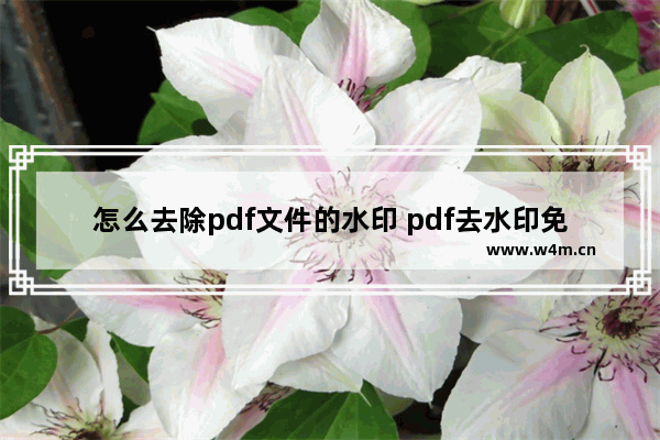 怎么去除pdf文件的水印 pdf去水印免费软件介绍