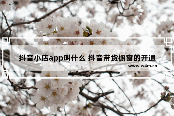 抖音小店app叫什么 抖音带货橱窗的开通