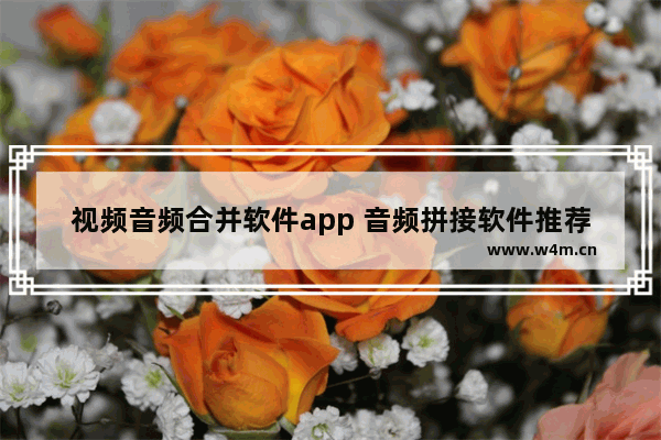 视频音频合并软件app 音频拼接软件推荐