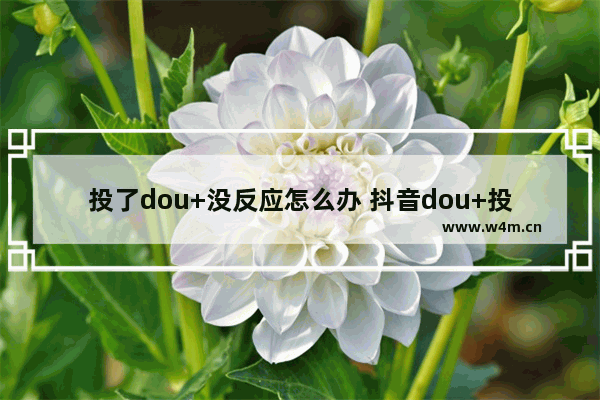 投了dou+没反应怎么办 抖音dou+投放技巧