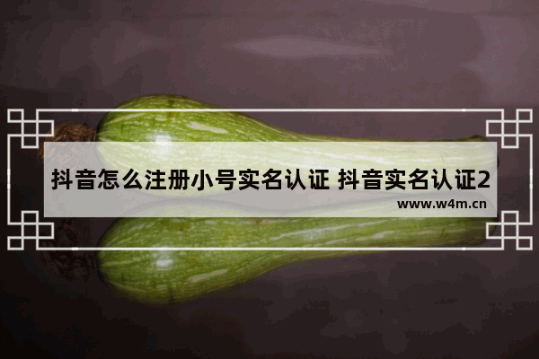 抖音怎么注册小号实名认证 抖音实名认证2个号最新方法