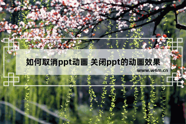 如何取消ppt动画 关闭ppt的动画效果