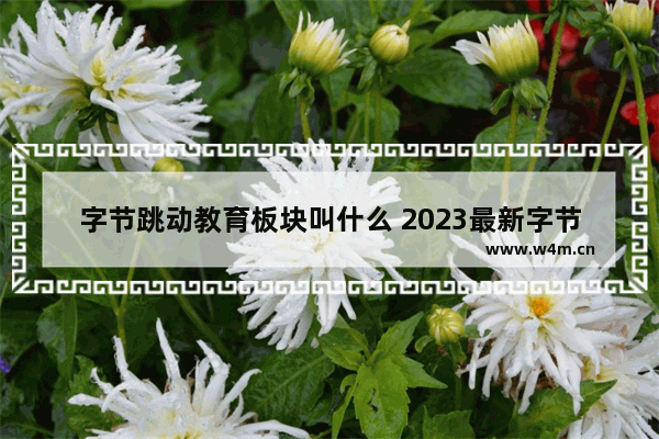 字节跳动教育板块叫什么 2023最新字节跳动组织架构图