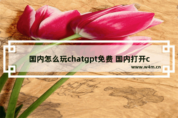 国内怎么玩chatgpt免费 国内打开chatGPT网页的步骤