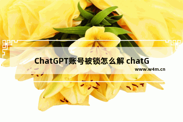 ChatGPT账号被锁怎么解 chatGPT解除ip限制的步骤