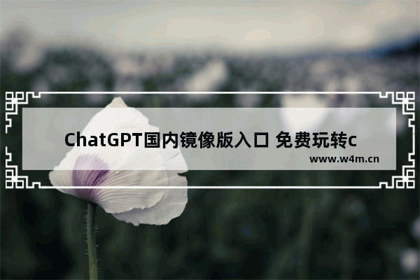 ChatGPT国内镜像版入口 免费玩转chatAI的方法！