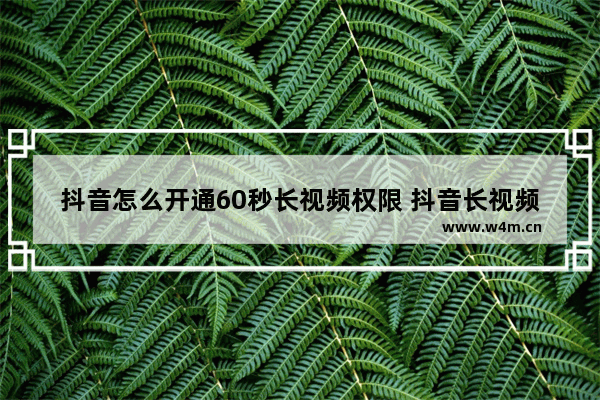 抖音怎么开通60秒长视频权限 抖音长视频的发布权限