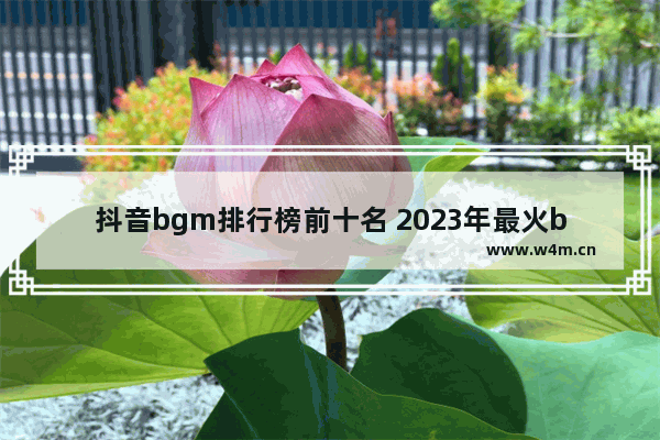 抖音bgm排行榜前十名 2023年最火bgm排行榜