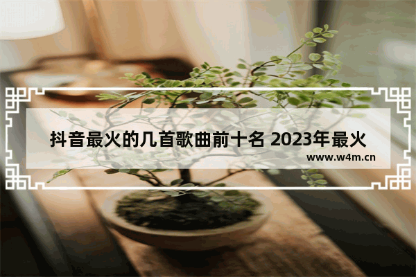 抖音最火的几首歌曲前十名 2023年最火的抖音歌