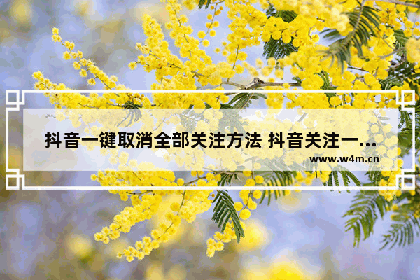 抖音一键取消全部关注方法 抖音关注一秒全部取关