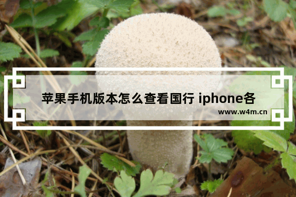 苹果手机版本怎么查看国行 iphone各国版本序列号查询