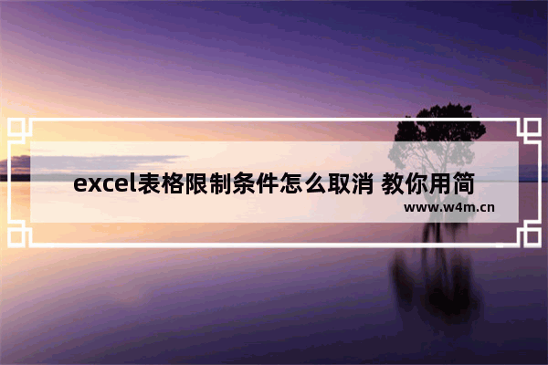 excel表格限制条件怎么取消 教你用简单的方法解除excel表格