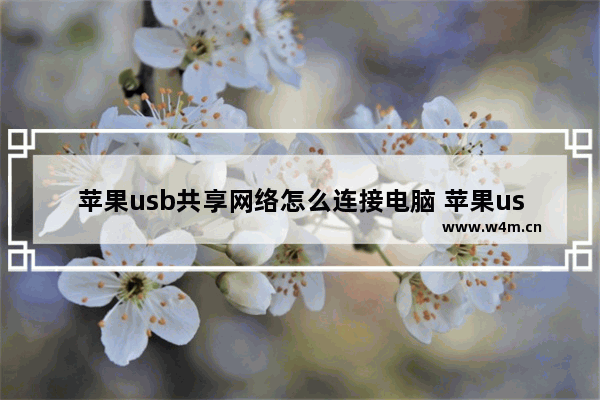 苹果usb共享网络怎么连接电脑 苹果usb连接电脑教程