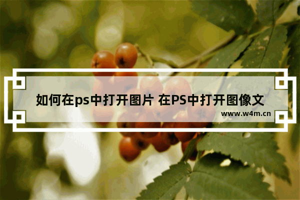 如何在ps中打开图片 在PS中打开图像文件的正确方法