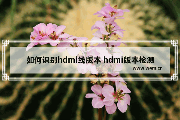 如何识别hdmi线版本 hdmi版本检测工具推荐