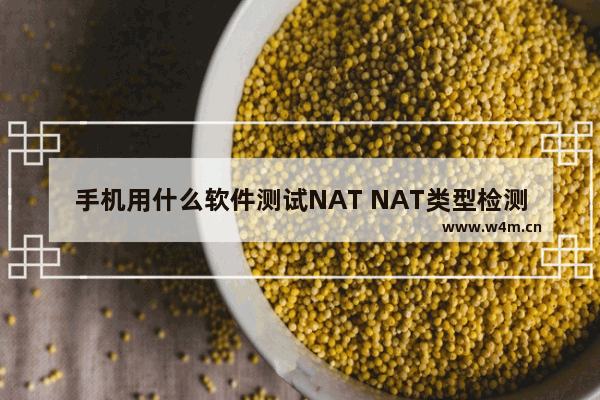 手机用什么软件测试NAT NAT类型检测方法和穿越方式