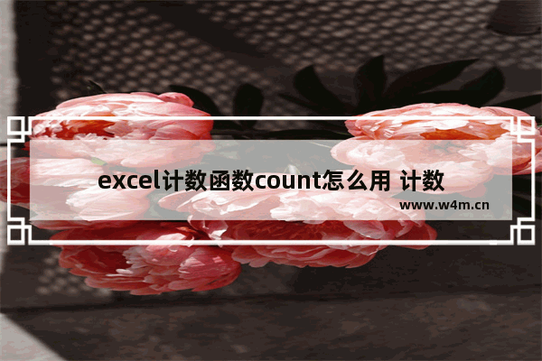 excel计数函数count怎么用 计数函数count的应用方法