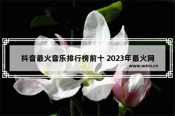 抖音最火音乐排行榜前十 2023年最火网络歌曲